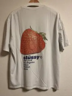 Stussy ストロベリー Tシャツ ホワイト バックプリント ロゴT