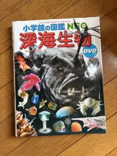 2026年最新】小学館の図鑑neo dvdの人気アイテム - メルカリ