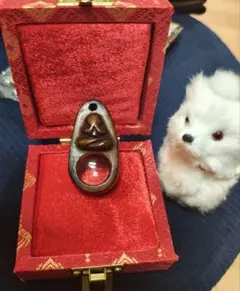 プラクルアンを鑑定する魔法のルーペ！なんとハンドメイド品！プラピッタ効果付！