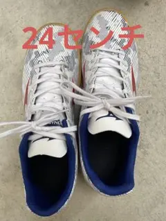 mizunoモナルシーダ ネオ サラ 24センチ室内 ワイド サッカーシューズ