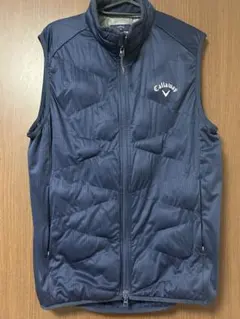 Item thumbnail for item 4055aa71-ee2b-403e-821f-807ff38b6662