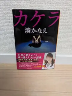 湊かなえ カケラ