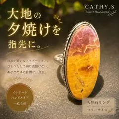 天然石 ピクチャージャスパー 星 ⭐️ 大きなスター カービング