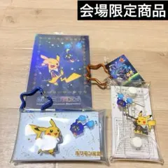 ポケモン天文台　入場者限定購入グッズ　ほしぞらピカチュウ　限定 相模原会場