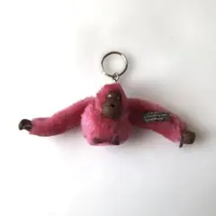 Item thumbnail for item bf0c6739-d44e-4966-a5b1-c2553216a18f