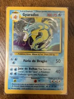 M2様専用ワタルのギャラドス ポケモンカード ワタルのリザードン