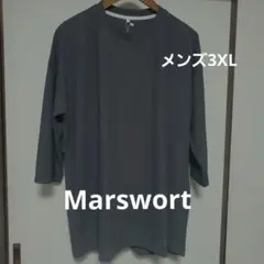 Item thumbnail for item 0cd4d269-8e4b-43c1-bf85-c00d03c274ec