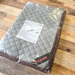 TEIJIN乾っとデオケースプレミアム 大サイズ 2個セット ダークグレー 収納