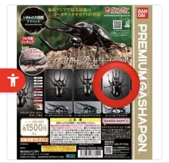 2026年最新】モーレンカンプオオカブト いきもの大図鑑の人気アイテム