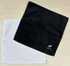 Item thumbnail for item 1e8c9f8e-d377-488d-b6d3-bba2975d204f