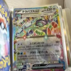テラパゴスex