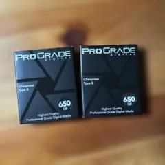 Prograde Digital Type B 650GB プログレード