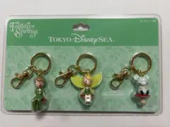 ファンタジースプリングス　ピーターパン　キーホルダーセット　ディズニー TDS