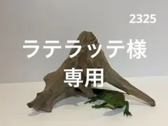 Item thumbnail for item 59f0db1a-57f8-4602-90e2-71256c742ca0