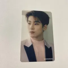 SEVENTEEN トレカ ウォヌ