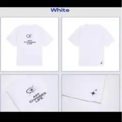 TREASURE Wonderwall ワンダーウォール Tシャツ