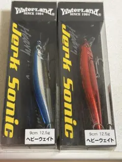 4点セット スケルトンミノー 激レア★早い者勝ち★ウォーターランド 激レア☆早い者勝ち☆ウォーターランド 2点セット スケルトンミノーF ルアー・フライ