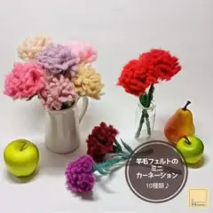 ☆母の日に☆羊毛フェルトのミニカーネーション★10種類★【受注制作】