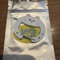 SKZOO スキズ　カラビナ　ジニレット　ヒョンジン