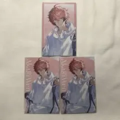 赤城ウェン にじさんじ SUISAI RAIN ビジュアルカード 3枚セット