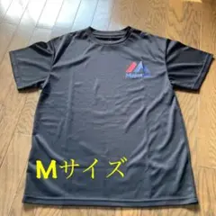 マジェステッィク　Tシャツ　中古品　Mサイズ