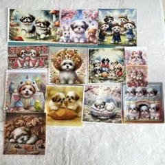 シーズー　サイズ色々セット