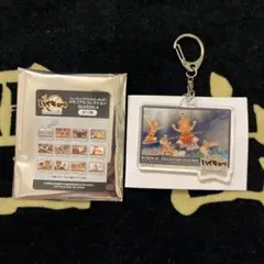 ハイキュー トレーディングアクリルキーホルダー メモリアルコレクション 烏野
