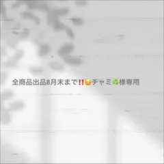 2026SS【ガリャルダガランテ】シアーメッシュミリタリージャケット