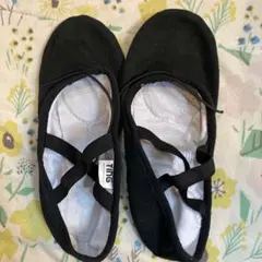 Item thumbnail for item de498601-f610-46cc-9025-27a178d31712