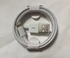 Apple純正 Lightning USBケーブル
