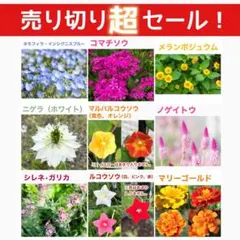 りんご様 リクエスト 3点 まとめ商品