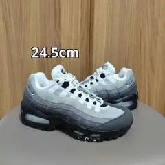 【24.5cm】 ナイキ エアマックス95 ビッグバブルGranite 2026