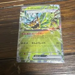 ポケモンカード　オーガポンみどりのめんex