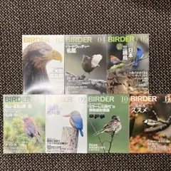 BIRDER 雑誌 2020年　7冊セット 美品