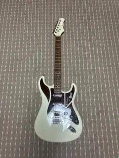 USA プロダクト robin ストラト フェンダー ギブソン テレキャス sg