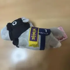 2025年最新】サラブレッドコレクション ゴールドシップの人気