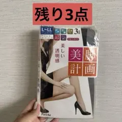 美脚 ストッキング L~LL 黒