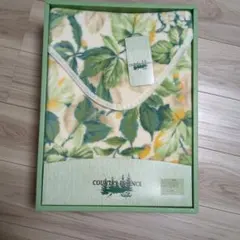 Item thumbnail for item 29794855-7595-4ea0-ad06-2887e2fa965c