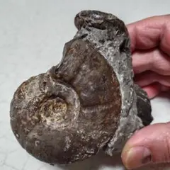 ひでさん様 リクエスト 4点 まとめ商品