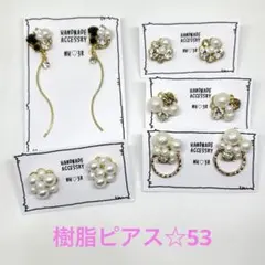 樹脂ピアス☆53