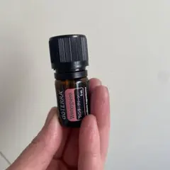 カーリー様 リクエスト 2点 まとめ商品