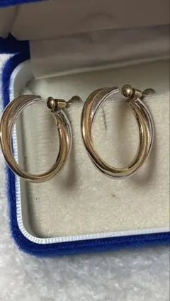 イヤリング　画像の物