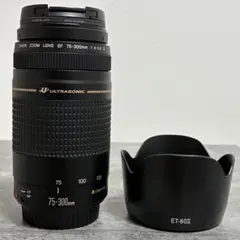 2026年最新】canon kiss x8i 望遠レンズの人気アイテム - メルカリ