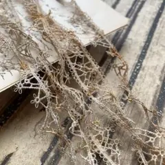 ジャンクジャーナル素材☆錆染め細め繊細ケミカルレース