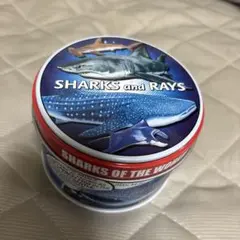 SHARKS and RAYS 空き缶 小物入れ
