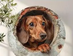 Item thumbnail for item fe450ecf-a826-4f7e-98d5-bbce66dbde36