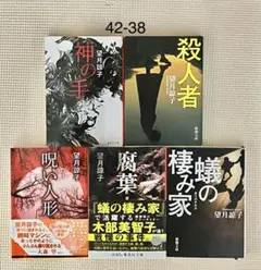 42-38「神の手、殺人者、呪い人形、腐葉土、蟻の棲家」望月諒子 文庫5冊セット