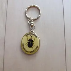 カブトムシ キーホルダー ゴールド