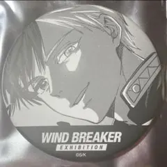 2025年最新】wind breaker展 缶バッジ 桜の人気アイテム - メルカリ