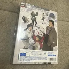 劇場版 名探偵コナン 隻眼の残像　豪華盤DVD クリアファイル付